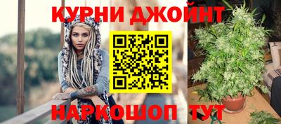 крисы Будённовск